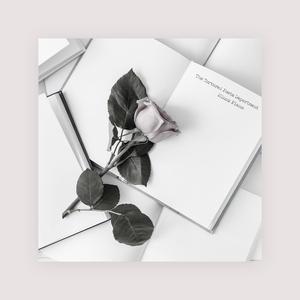 添十八🈲️🔞视频免费
