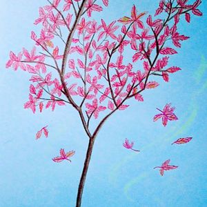 添十八🈲️🔞视频免费
